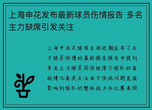 上海申花发布最新球员伤情报告 多名主力缺席引发关注